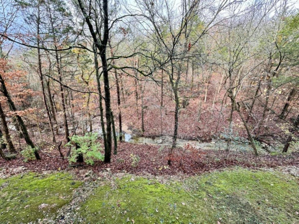 Appartement Luxurious At Hills - Beautifully Updated And Affordable - Family Amenities - No Steps Branson